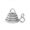 Stainless Steel Hex Nut